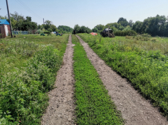  Как 7,3 млн рублей зарыли в землю под Воронежем