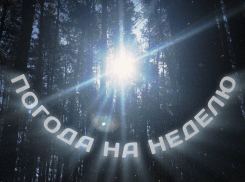 Свитер, прогулки и хорошее настроение: гид по погоде на неделю в Воронеже