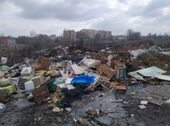 Чиновник рассказал, как надо выбрасывать мусор в Воронежской области 
