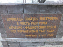 Воронежским памятникам Великой Отечественной войны нужен ремонт и реставрация