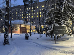 С чем воронежцы поступили в больницу в новогоднюю ночь