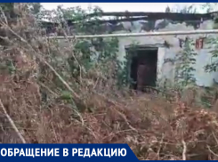 Воронежцы предлагают чиновникам избежать страшной катастрофы, но их не слышат