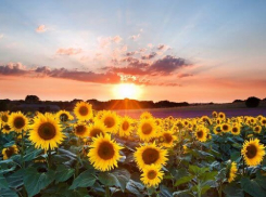 Синоптики рассказали, когда из Воронежа уйдут дожди
