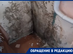 Плесень и холодные батареи: семья с младенцем выживает в воронежской квартире 