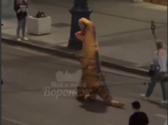 Странный пешеход выбрался на прогулку в центре Воронежа