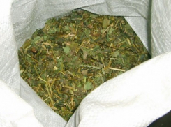 В Воронежской области поймали скутеристов с запрещенными веществами