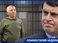 Преследование пенсионера Геннадием Макиным прокомментировали политики и общественные деятели 