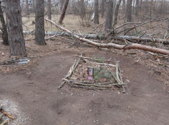 Стихийное кладбище домашних животных в лесу раскритиковали воронежцы