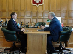 Алексей Гордеев предложил воронежцам самим заняться неблагополучными семьями