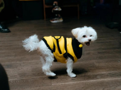 Жительница Воронежа вышла в полуфинал конкурса от билайн с призом миллион рублей 