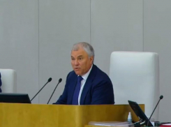 Спикер Госдумы Вячеслав Володин жёстко высказался о скандале на ЕГЭ в Воронеже