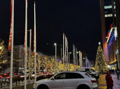 Какой будет погода в предновогодней Воронежской области