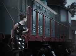 В Воронеже рассказали, какие штрафы будут платить безбилетники в поездах