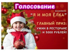 Проголосуйте за самую красивую новогоднюю елку-2017!