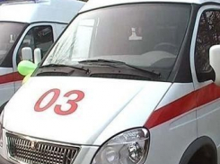 В Воронежской области при столкновении иномарки с деревом погибла 37-летняя женщина