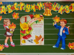 Стало известно, почему не все воронежские школы заклеили защитной пленкой