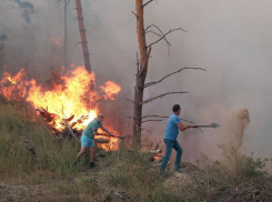 Пожарные трогательно поблагодарили воронежцев