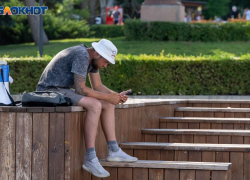 Социологи назвали самый популярный мессенджер среди воронежцев