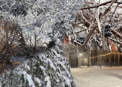 Зимняя сказка глазами воронежцев 