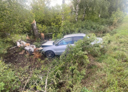 Пьяное ДТП с деревом устроила автомобилистка под Воронежем 