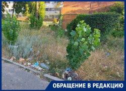 Позорную мусорку под окнами БСМП воронежцы записали на видео
