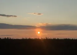 Ни капли дождя, зато магнитная буря на 7 баллов: погода в Воронеже