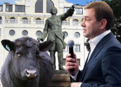 Бренды Петра I и мраморной говядины решил присвоить лидер воронежских единороссов