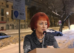 Воронежский политик заявила в прокуратуру о коррупционности мэрии в деле платных парковок