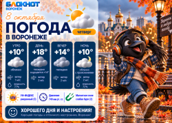 Тепло, но пасмурно: прогноз погоды в Воронеже