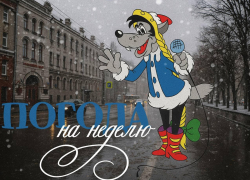 Дождь, снег, гололед: как пережить семь дней воронежской погоды