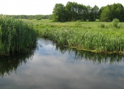 В Воронежской области водолазы из реки достали тело пожилой женщины