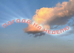 Сентябрьское лето: как погода порадует воронежцев на предстоящей неделе