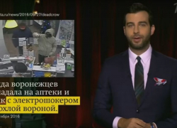 Юморист Иван Ургант высмеял воронежских грабителей с дохлой вороной