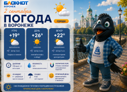Плавное похолодание придет в Воронеж с началом осени 
