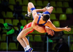 Призовой фонд чемпионата России по греко-римской и вольной борьбе в Воронеже составит 2 млн рублей