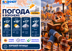 Небольшой дождик и солнышко: прогноз погоды в Воронеже