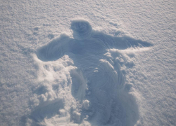 Что готовит погода воронежцам на праздники