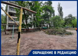 «Одни словом – свиньи!»: воронежцы обозлились на свою УК после появления «порубочной свалки»
