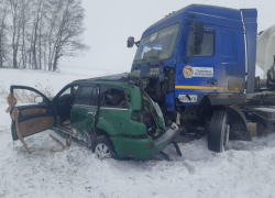 Последствия ДТП с фурой показали на воронежской трассе 