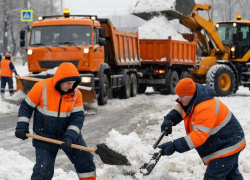Читатели «Блокнота» назвали район Воронежа с лучшей уборкой 
