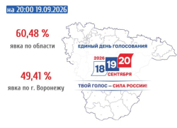 Объявлена итоговая явка по результатам двух дней голосования в Воронежской области 