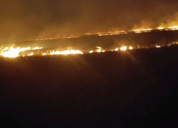Огненный ад на фоне противопожарного режима сняли на видео в Воронежской области