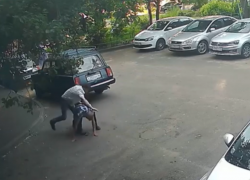 Жестокое избиение храброго пенсионера сняли в Воронеже