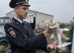 Воронежский депутат отделался условным сроком за избиение "Народного участкового"