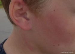 Бывшего полицейского обвинили в избиении 12-летнего мальчика под Воронежем