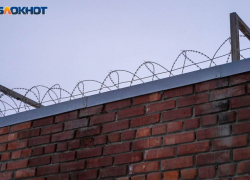 За распространение экстремистских идей воронежский зек попал под уголовное дело