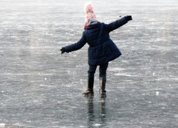 Троих детей спасли на льду Воронежского водохранилища 