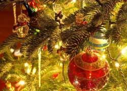 В Воронеже открытие главной новогодней елки состоится 31 декабря