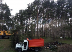 Опубликовано фото с места гибели водителя «Газона» в Воронеже