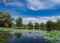 Озеро выставили на продажу за копеечную сумму в Воронежской области